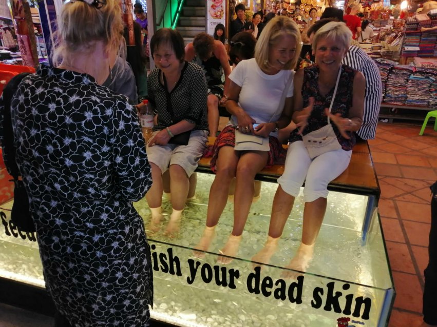 <h2>Thailand, Cambodia & Vietnam Escorted 2019</h2>14 Nights from Thailand to Cambodia & Vietnam | 8 Rounds | February 5 - 19